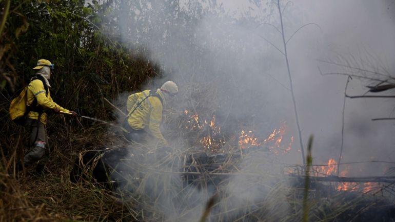 Brazil fires