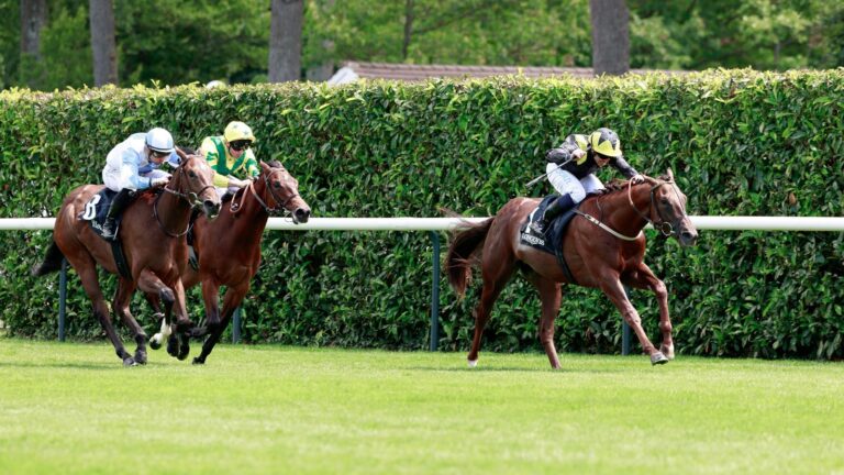 Today on Sky Sports Racing: Newcastle, Southwell and Chantilly | Racing News