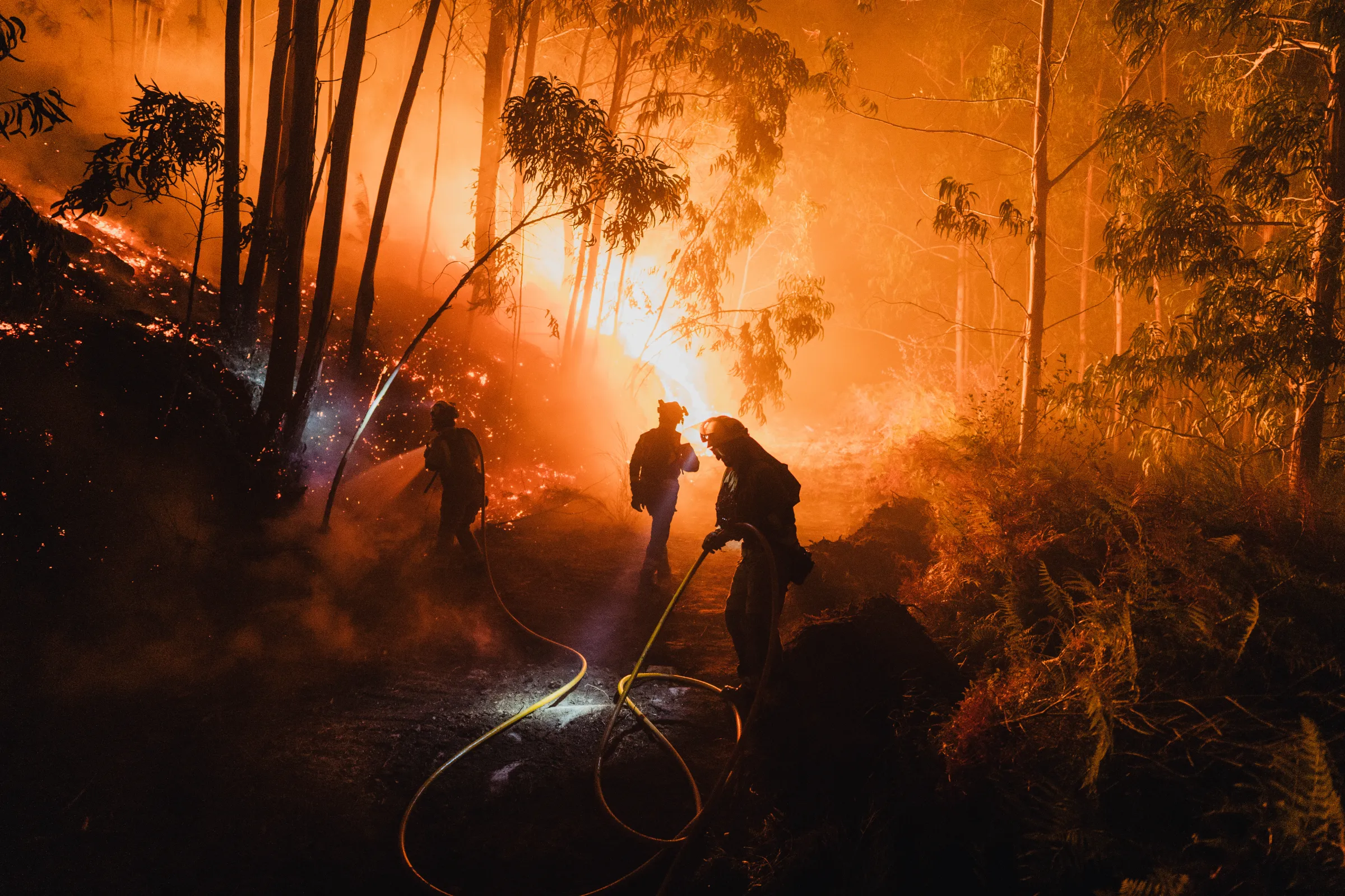 Multiple people in fire gear in a burning forest.