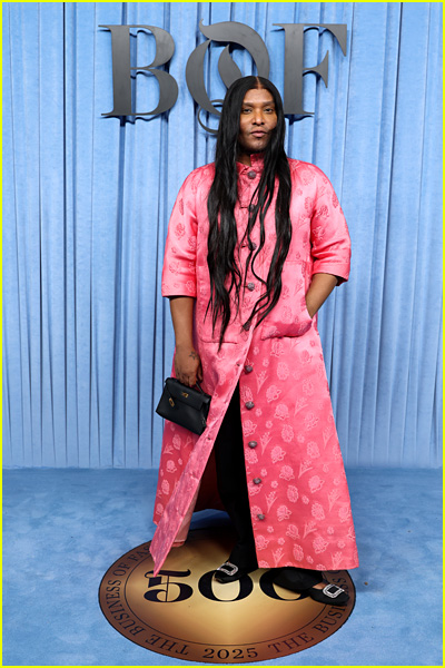 Celebs at the BoF 500 Gala