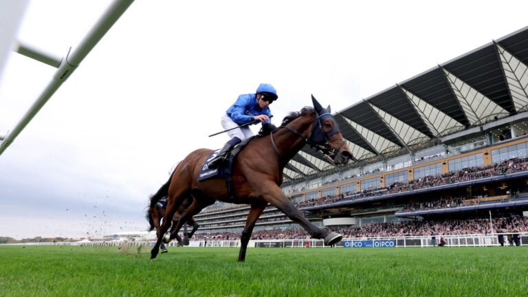 British Champions Day: Trawlerman scoops Long Distance Cup honours for Gosden team | Racing News