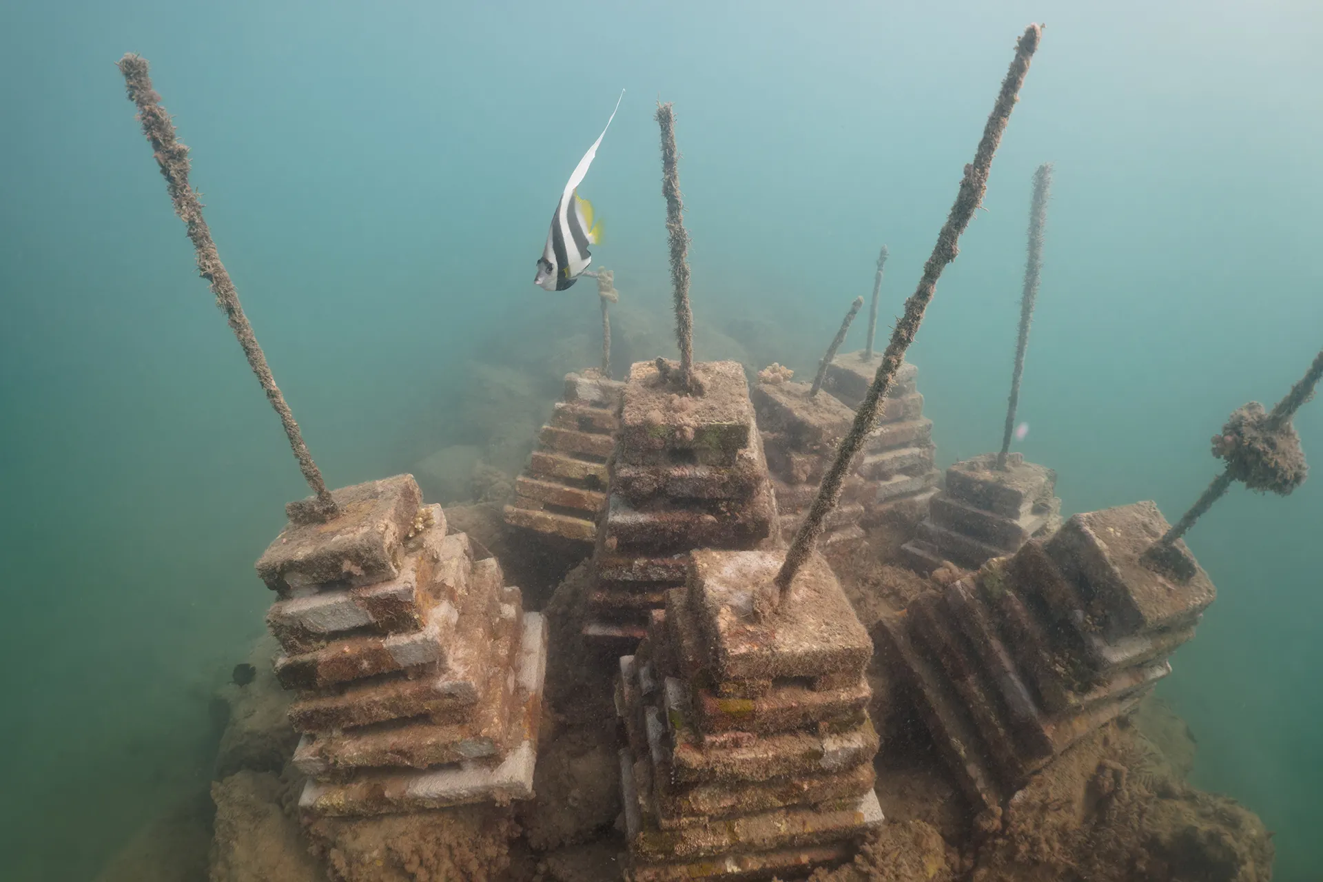 Limestone structures in layers underwater