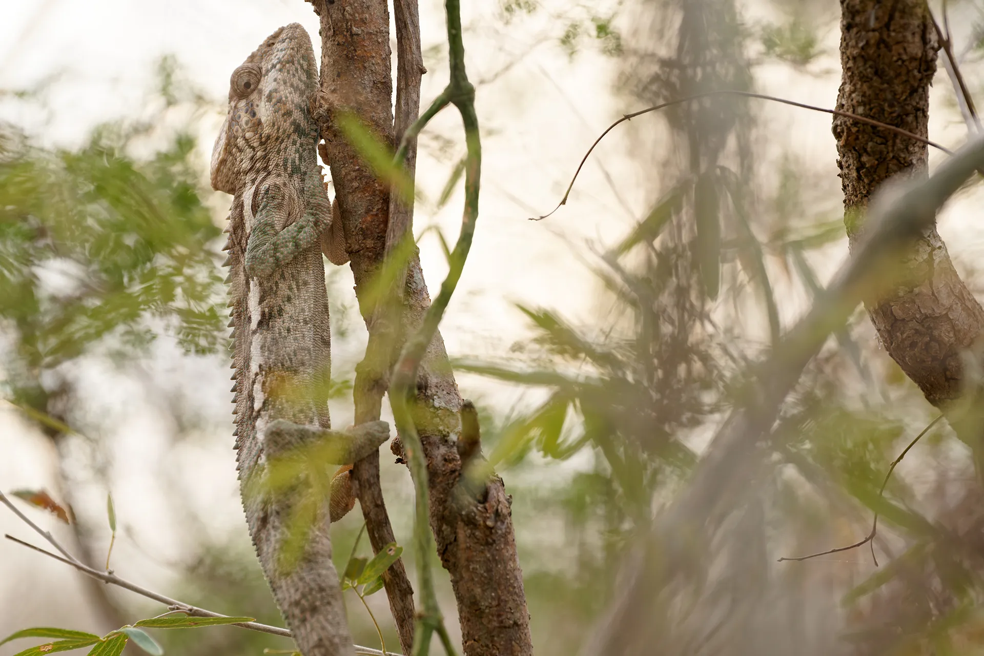 Tanalahy iray ao amin’ny valan-javaboary kely ao Mangily.