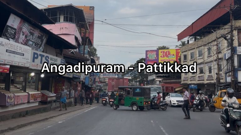 Angadipuram to Pattikkad road trip via Perinthalmanna | 4K