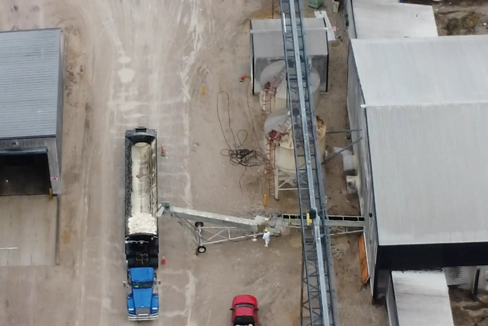 Dead birds being sent through a chute into a large truck