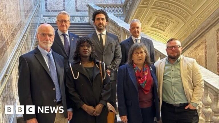 Catholic clergy sex abuse victims hopeful after Pope Leo meeting
