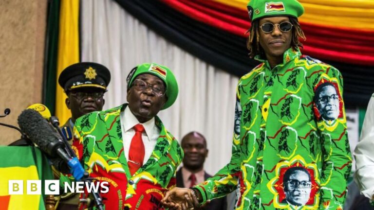 Former President Robert Mugabe’s son appears in court on drug charge