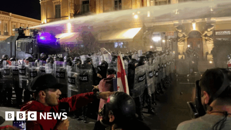 Georgia protesters try to storm Tbilisi presidential palace