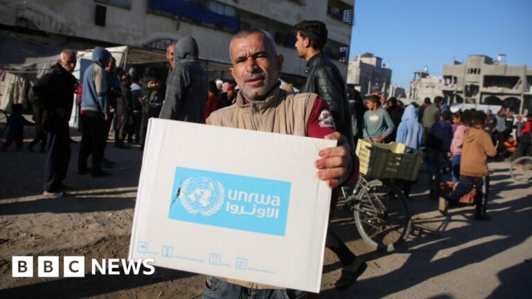 ICJ to give opinion on Israel’s UN and Palestinian aid obligations