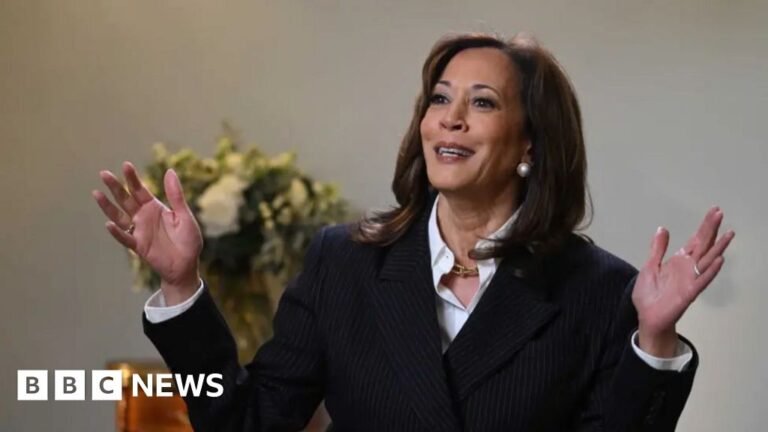 Kamala Harris ‘concerned’ she did not ask Biden to quit race