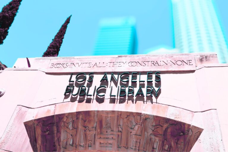 Libraries Provide Tampons, Sex Ed in Post-Roe Era