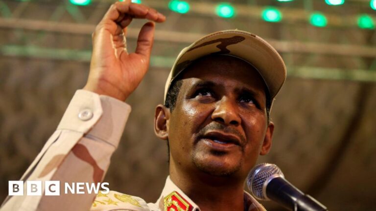 RSF chief promises investigation as anger mounts over el-Fasher killings