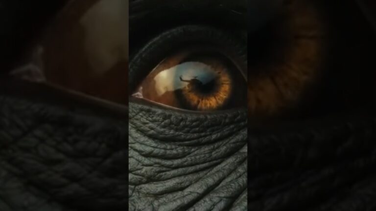 the Kong official trailer#adventuretrailer #movie #movieclip #secretsofthejungle #