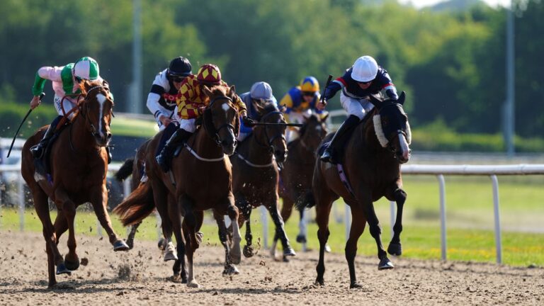 Today on Sky Sports Racing: Lingfield and Wolverhampton feature | Racing News