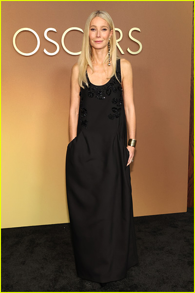 celebrities at the governors awards