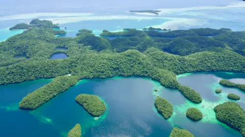 Palau boasts a stunning landscape with some of the best preserved corals along its coastline
