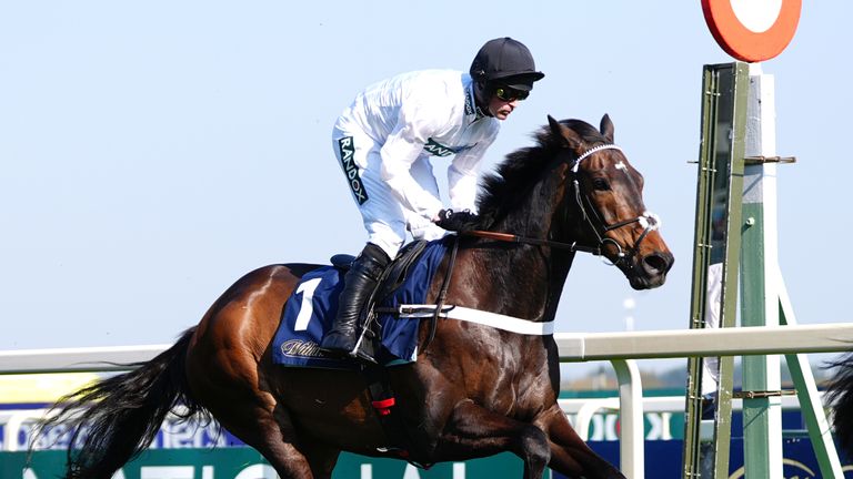 Nico de Boinville will once again ride Constitution Hill on Saturday