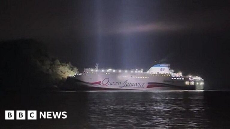 All 246 passengers rescued South Korean ferry runs aground