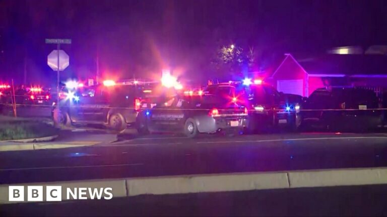 Four killed in shooting at child’s birthday party in California