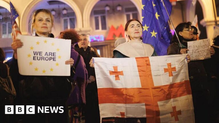 Georgia’s pro-EU protesters defiant year after accession process was halted