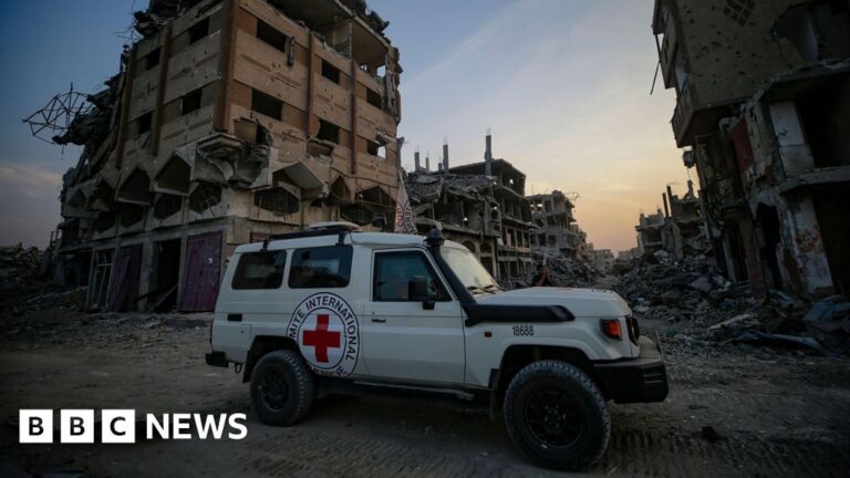 Israel receives coffin Hamas says contains body of Gaza hostage