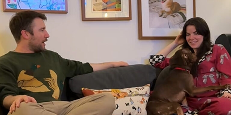 TikTok Rescue Influencer Isabel Klee’s Foster Dog Hilariously Hates Creed’s Music – Watch! | Creed, Isabel Klee, Music, TikTok | Celebrity News and Gossip | Entertainment, Photos and Videos