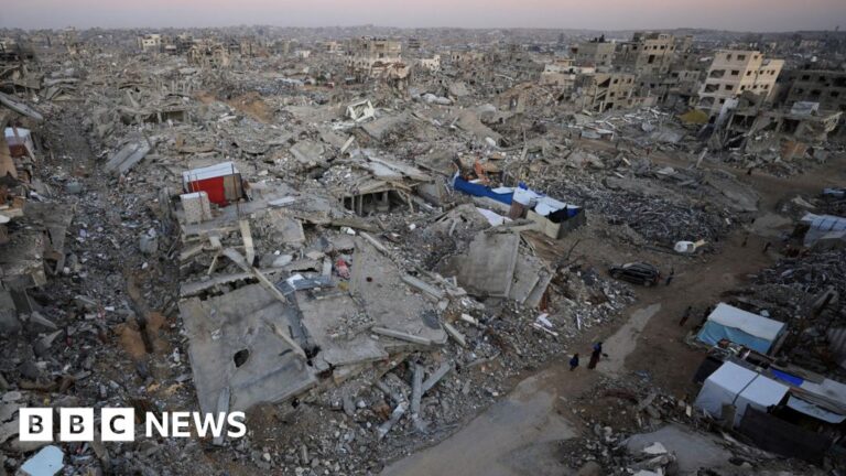 Trump’s plan for Gaza backed by UN Security Council