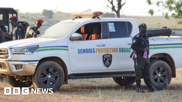 Twenty-four Nigerian schoolgirls released over a week after abduction