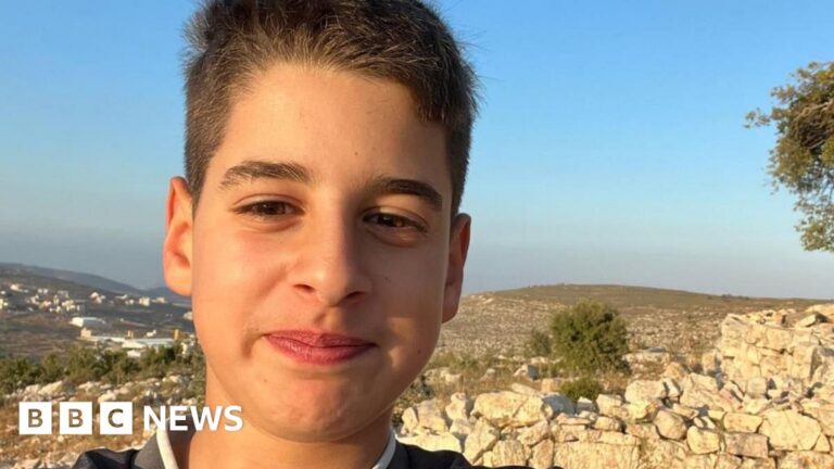 US-Palestinian teen freed after nine months in Israeli jail
