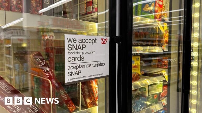US judge blocks Trump administration from halting Snap benefits