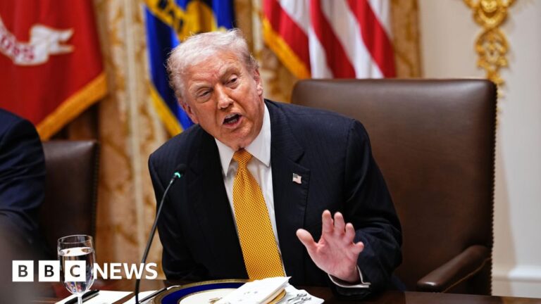 US to boycott G20 in South Africa over discredited white farmer ‘abuses’