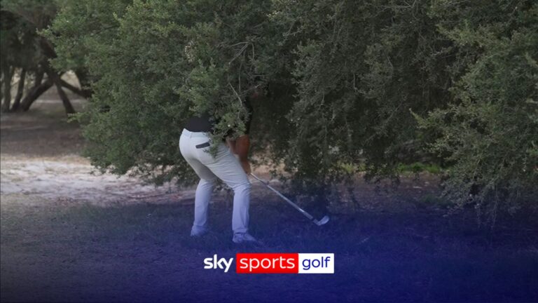 'Nowhere near making contact!' | Rory misses ball in a bush!
