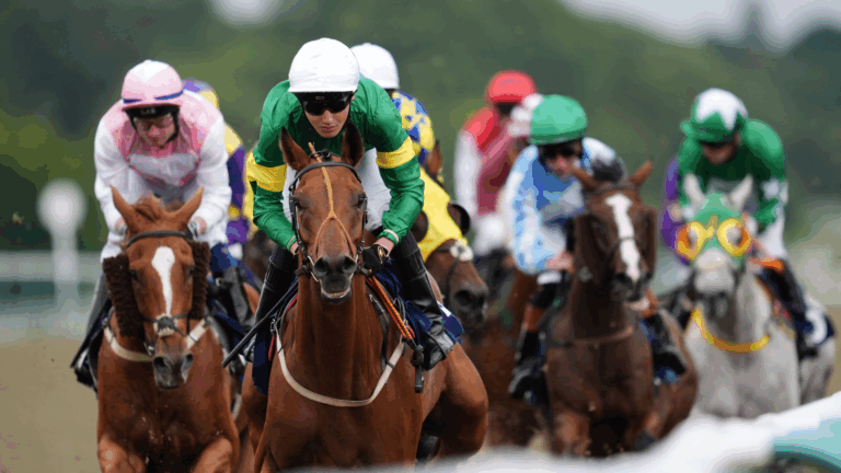 Today on Sky Sports Racing: Fontwell, Lingfield and Wolverhampton | Racing News