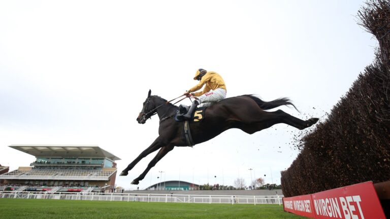 Cheltenham tips: Imperial Saint fancied to outrun his odds in December Gold Cup | Racing News
