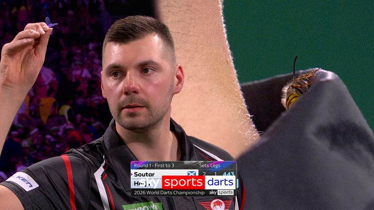 The Ally Pally wasp makes another appearance at on day six of the World Darts Championship with landing on the collar of Teemu Harju.