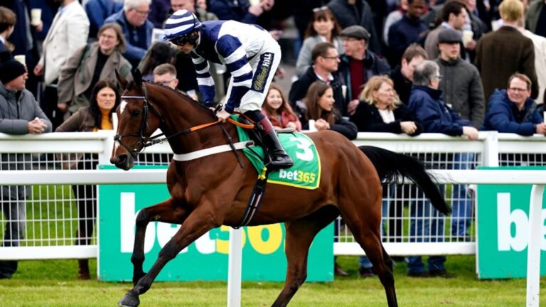 Today on Sky Sports Racing: Steel Ally faces No Questions Asked in Grade 2 showdown | Racing News