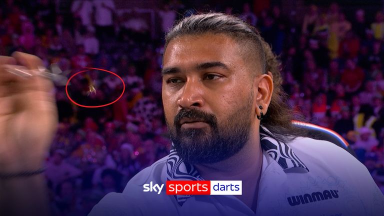 Ally Pally wasp 