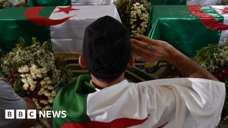 Algeria’s parliament approves law declaring France’s colonisation a crime
