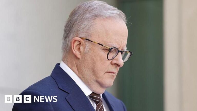Australia announced gun buyback scheme in wake of Bondi attack
