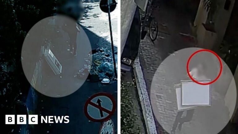 CCTV shows Matisse heist suspects with stolen artworks in Brazil