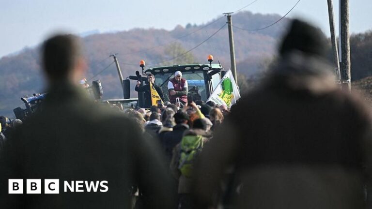 Farmers call for French blockades over cow disease cull