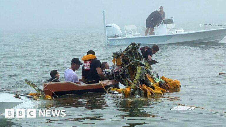 Five dead after plane carrying child burns victim crashes in Texas