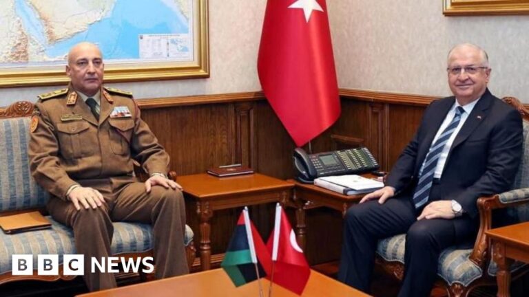 Libya’s army chief killed in air crash
