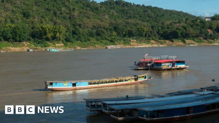 Screams for help and panic as tourists rescued from fatal sinking
