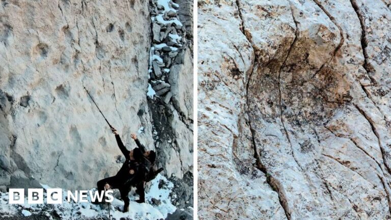 Thousands of dinosaur footprints found on Italian mountain