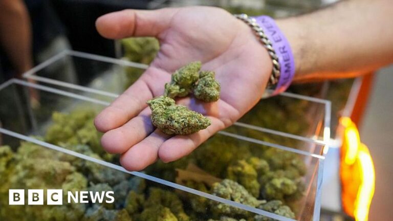 Trump expected to expand access to marijuana in a major shift in drug policy