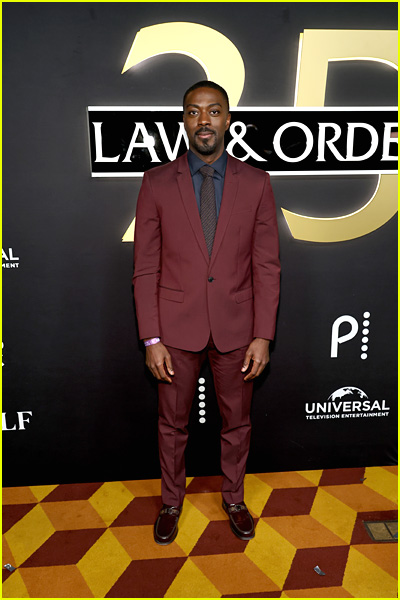 stars attending Law and Order 25th anniversary celebration
