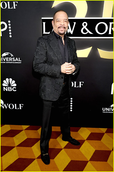 stars attending Law and Order 25th anniversary celebration