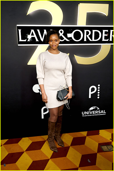stars attending Law and Order 25th anniversary celebration