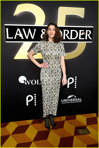 stars attending Law and Order 25th anniversary celebration